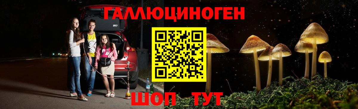 Псилоцибиновые грибы прущие грибы  Галлюциногенные грибы мицелий  Королёв  Вход с VPN 